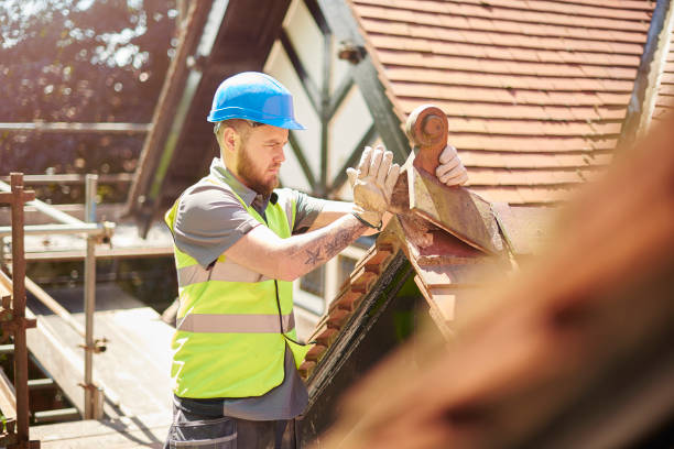 Roof Gutter Cleaning in Metuchen, NJ