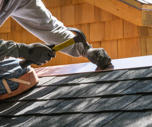 Best Roof Gutter Cleaning  in Metuchen, NJ